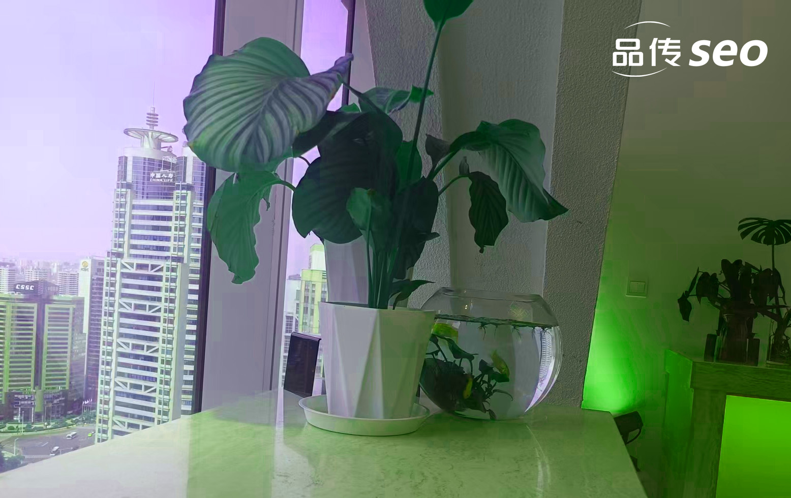 负面舆情不可怕，关键看你怎么管理